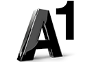 A1